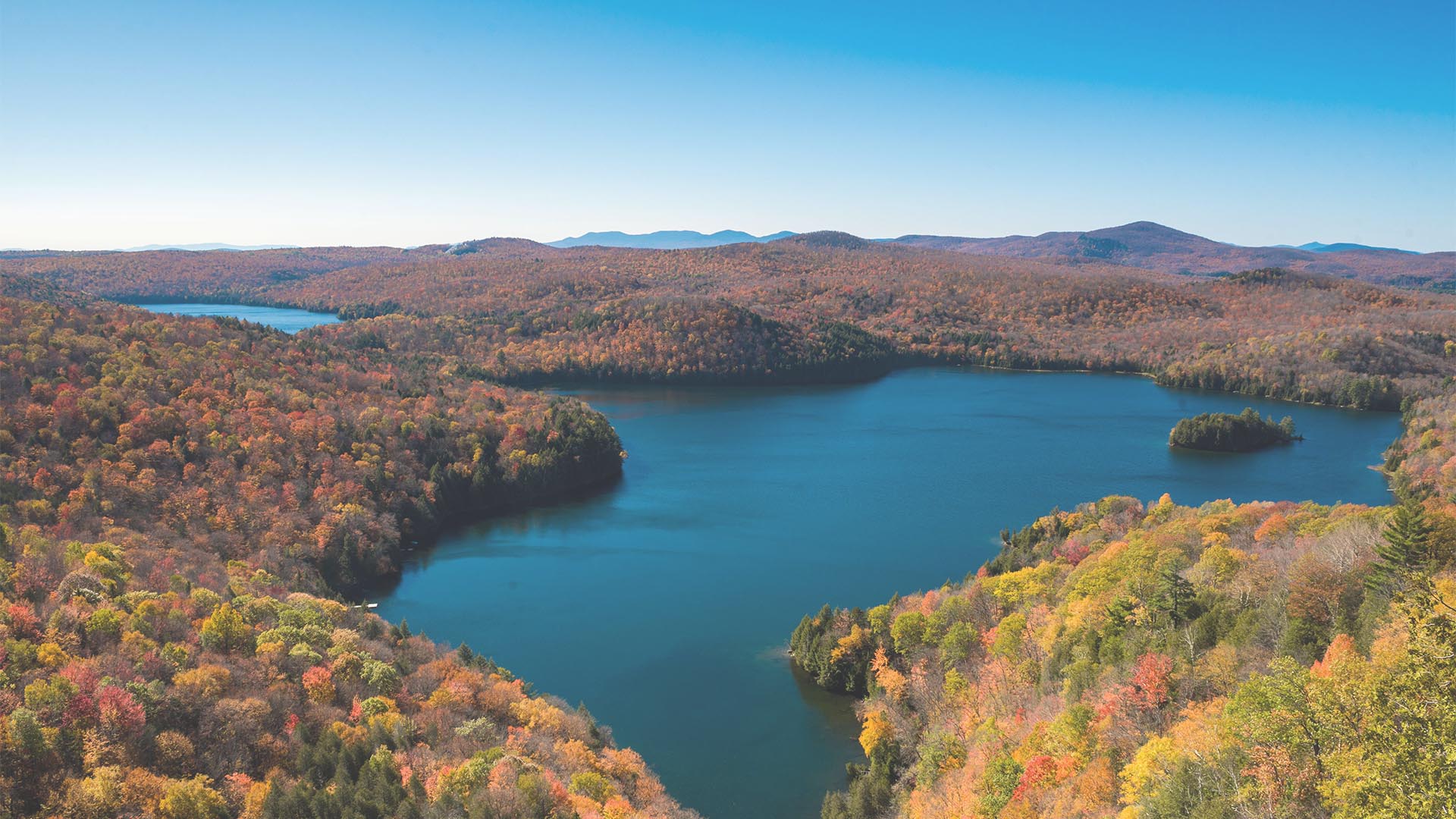 View of the Nichol's pond on a sunny fall day