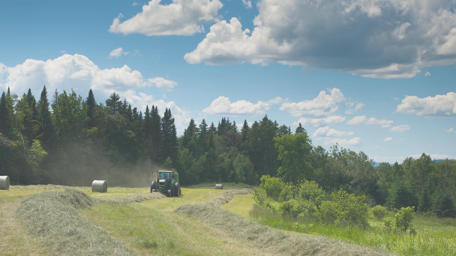 Farmer in field