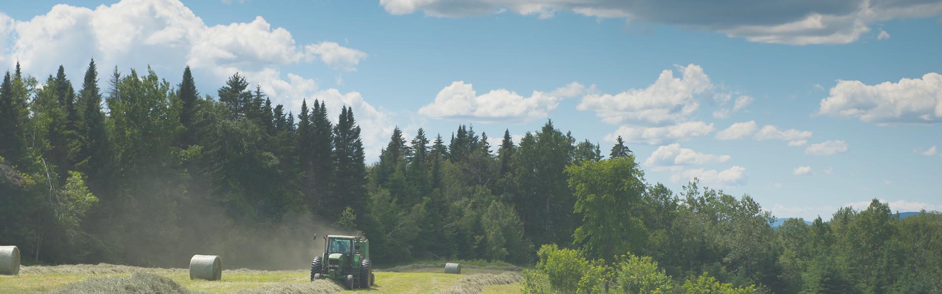 Farmer in field