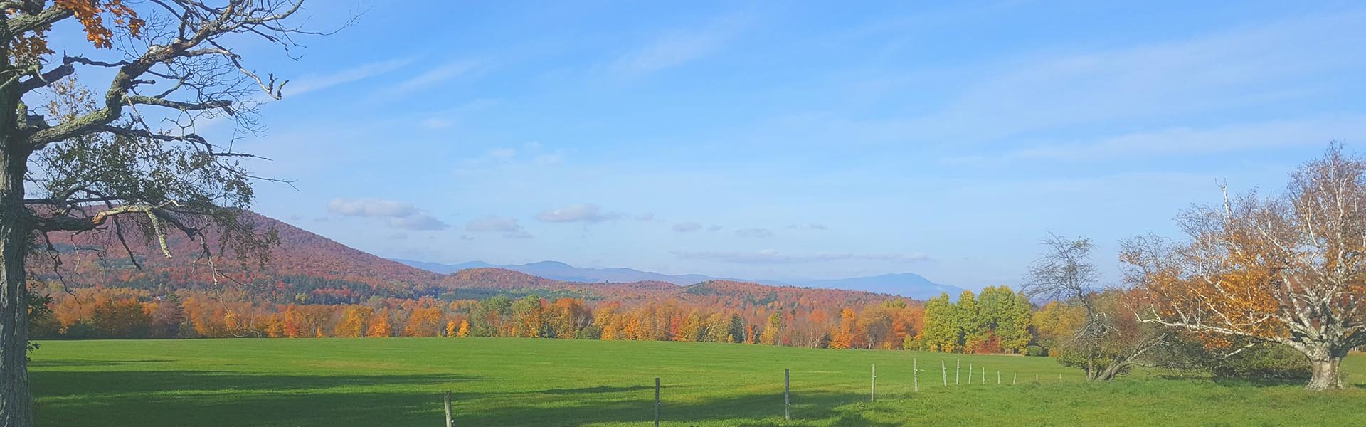 Vermont field in the fall