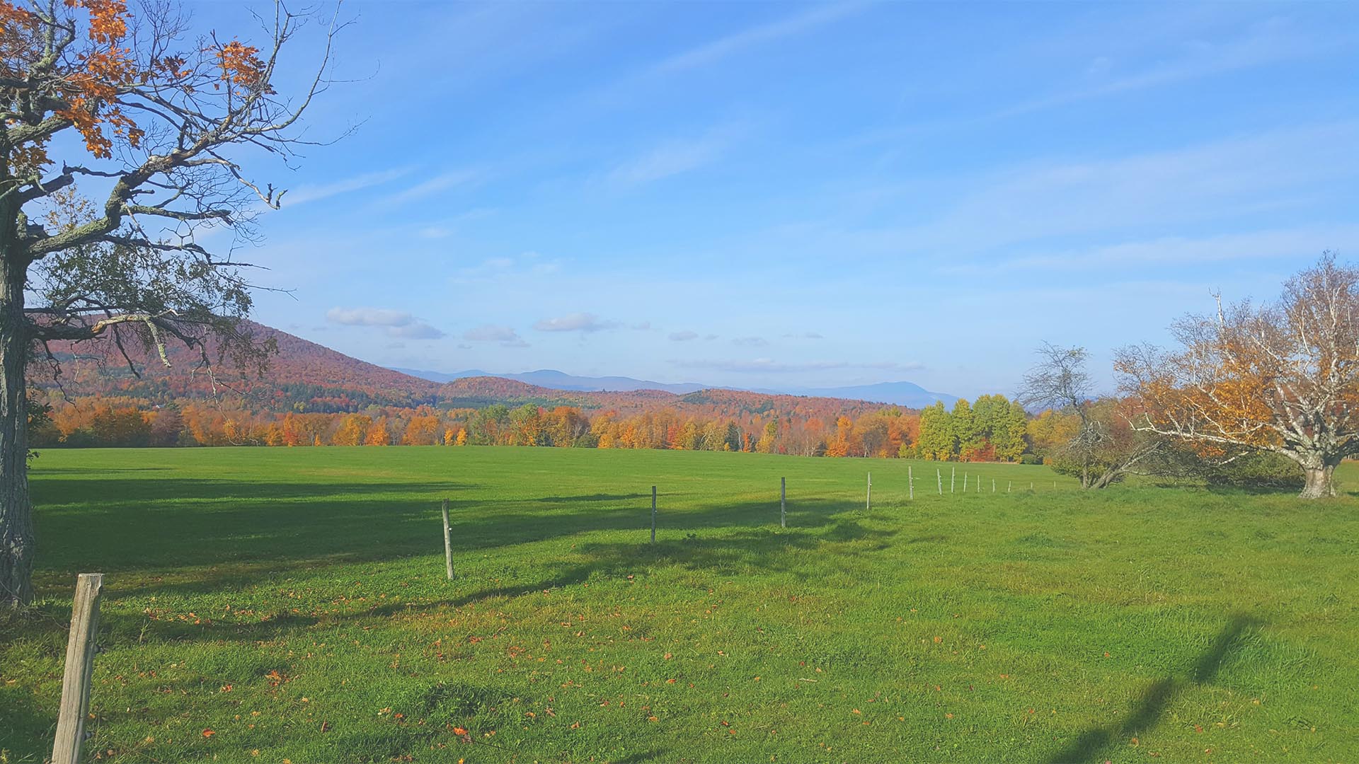 Vermont field in the fall